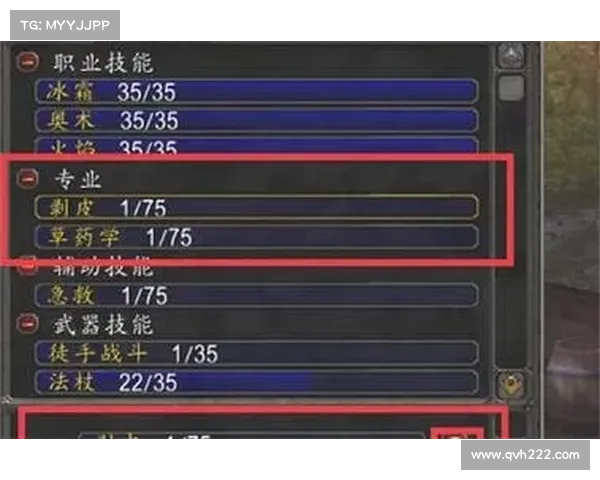 魔兽世界怀旧服：技能栏焕新，重塑职业之力