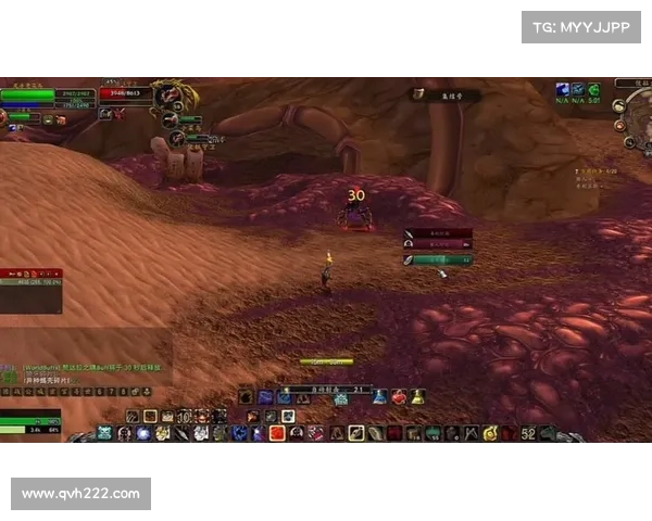 魔兽世界猎人之道：掌握弓箭技艺